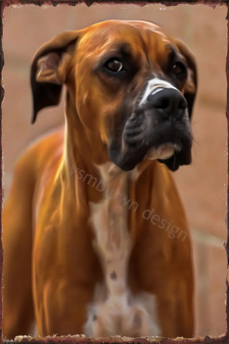 

Оловянные таблички для портрета боксера, декор для стен, комнатное украшение в стиле ретро, винтажный металлический знак, жестяная вывеска ...