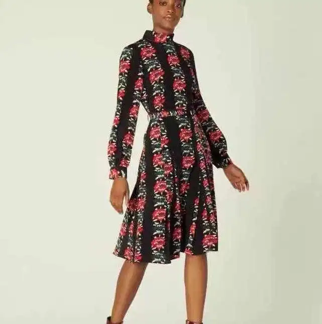 

Autumn 2021 New Long Sleeve Retro Printed Pure Silk Dress