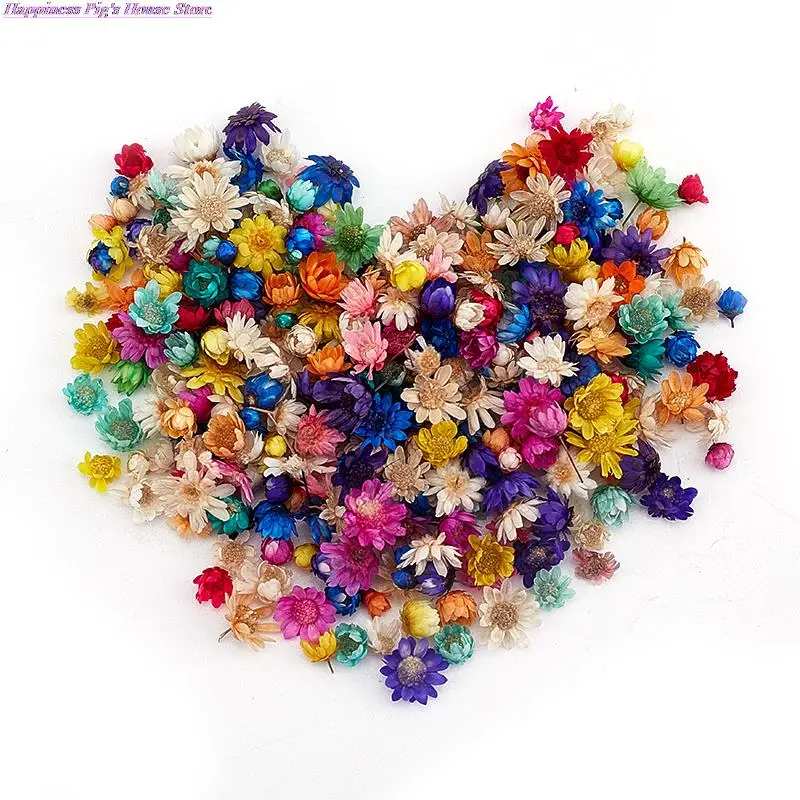 

Hot 100/200PCS Real Dried Flowers Brazil Little Star Flower For DIY Art Craft Epoxy Resin Candle Making Jewellery