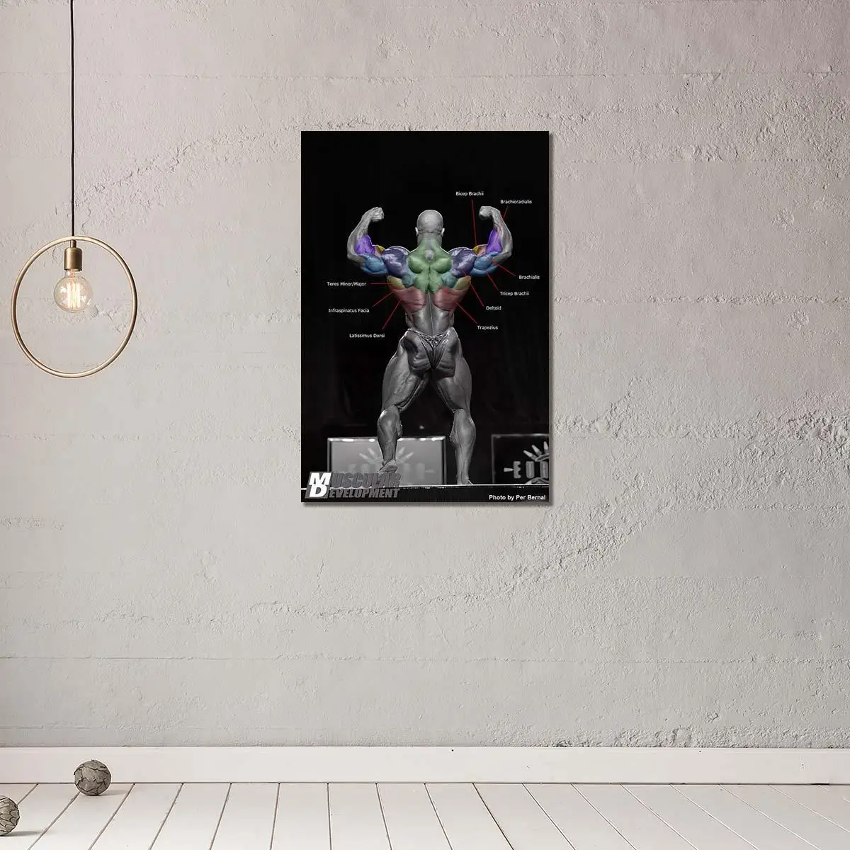 

Back Double Bicep Pose Canvas Paintings Poster Print Wall Art for Living Room Home Decor