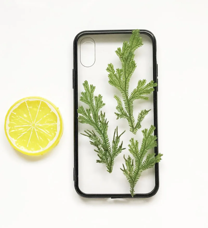 24 шт./4-6 см натуральная прессованная ветка плаунка зеленая трава цветы DIY