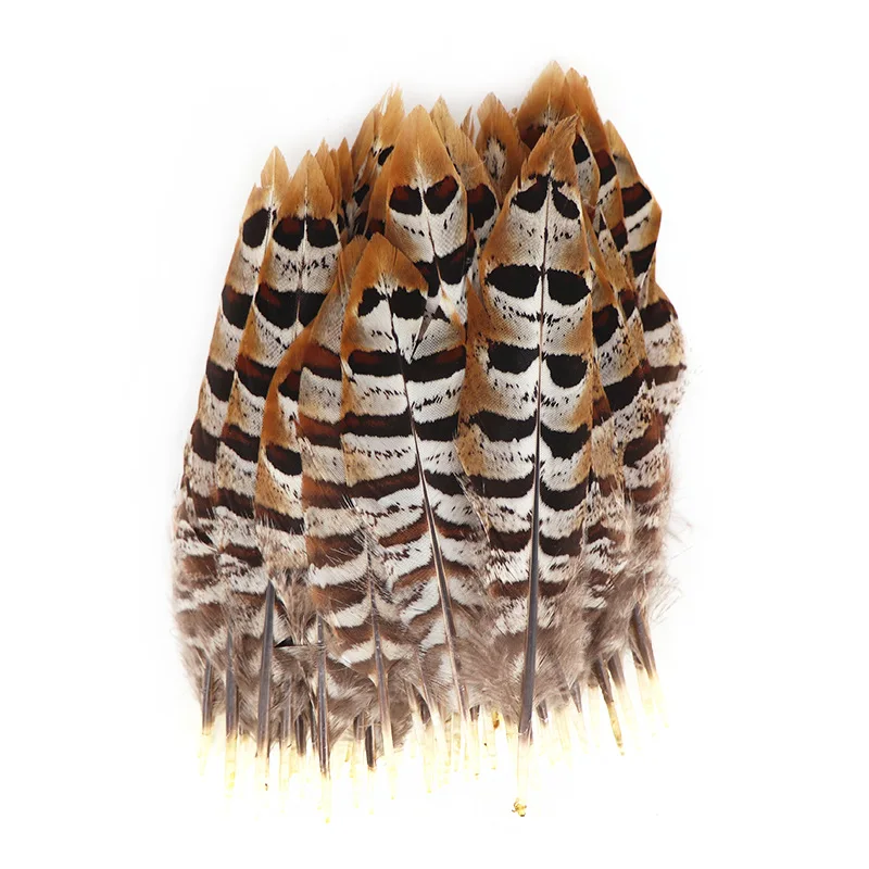 

The New 50pcs/lot High Quality Pheasant Feathers 10-15cm/4-6inches Dancers Diy Decoration Home Feathers for Crafts
