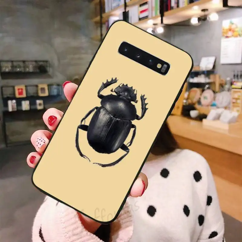 

Hrmes Beetle Entomology funny insect Phone Case For Samsung galaxy S 7 8 9 10 20 edge A 6 10 20 30 50 51 70 note 10 plus