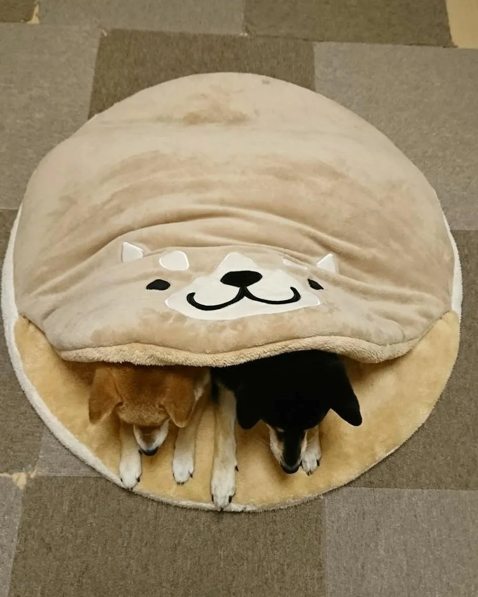 QQQPET японская кровать для домашних животных выбор интернет знаменитостей круглая