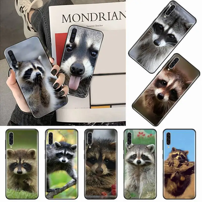 

Raccoon cute animal Phone Case For Samsung galaxy A S note 10 12 20 32 40 50 51 52 70 71 72 21 fe s ultra plus