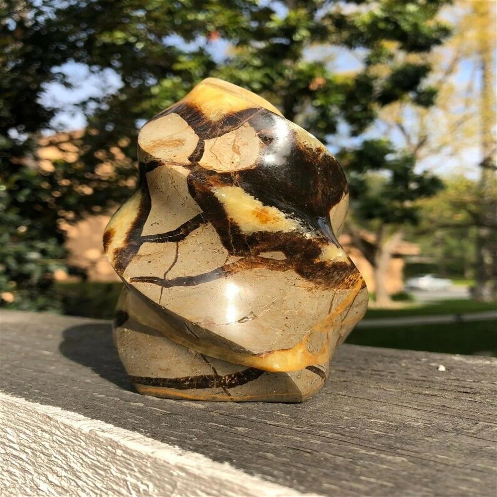 

NATURAL TURTLEBACK STONE HAND-CARVED FLAME CRYSTAL LUCKY ENERGY STONE
