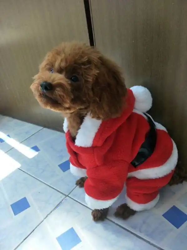 Мягкая зимняя теплая одежда для собак на Рождество толстовки маленьких кошек