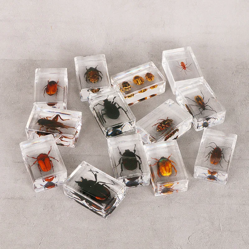 Разнообразные искусственные образцы прозрачная смола поделки для обучения и