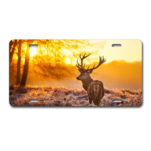 

Highland олень на закате, животное, автомобиль, грузовик, номерной знак, металлический жестяной знак, декор для стен