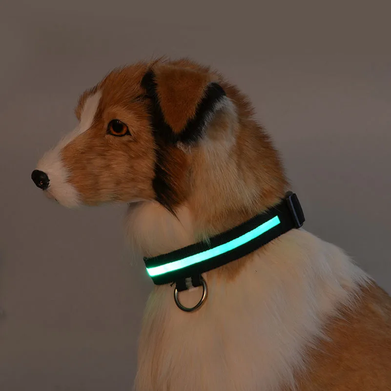 Бесплатная доставка товары для домашних животных собак со светодиодной