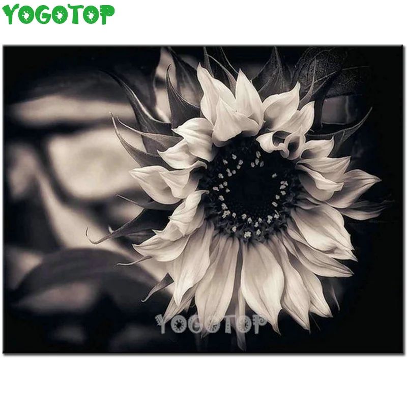 

DIY 5D Diamond embroidery Black and white sunflower picture square round rhinestone mosaic Diamond Painting cross stitch YY4641