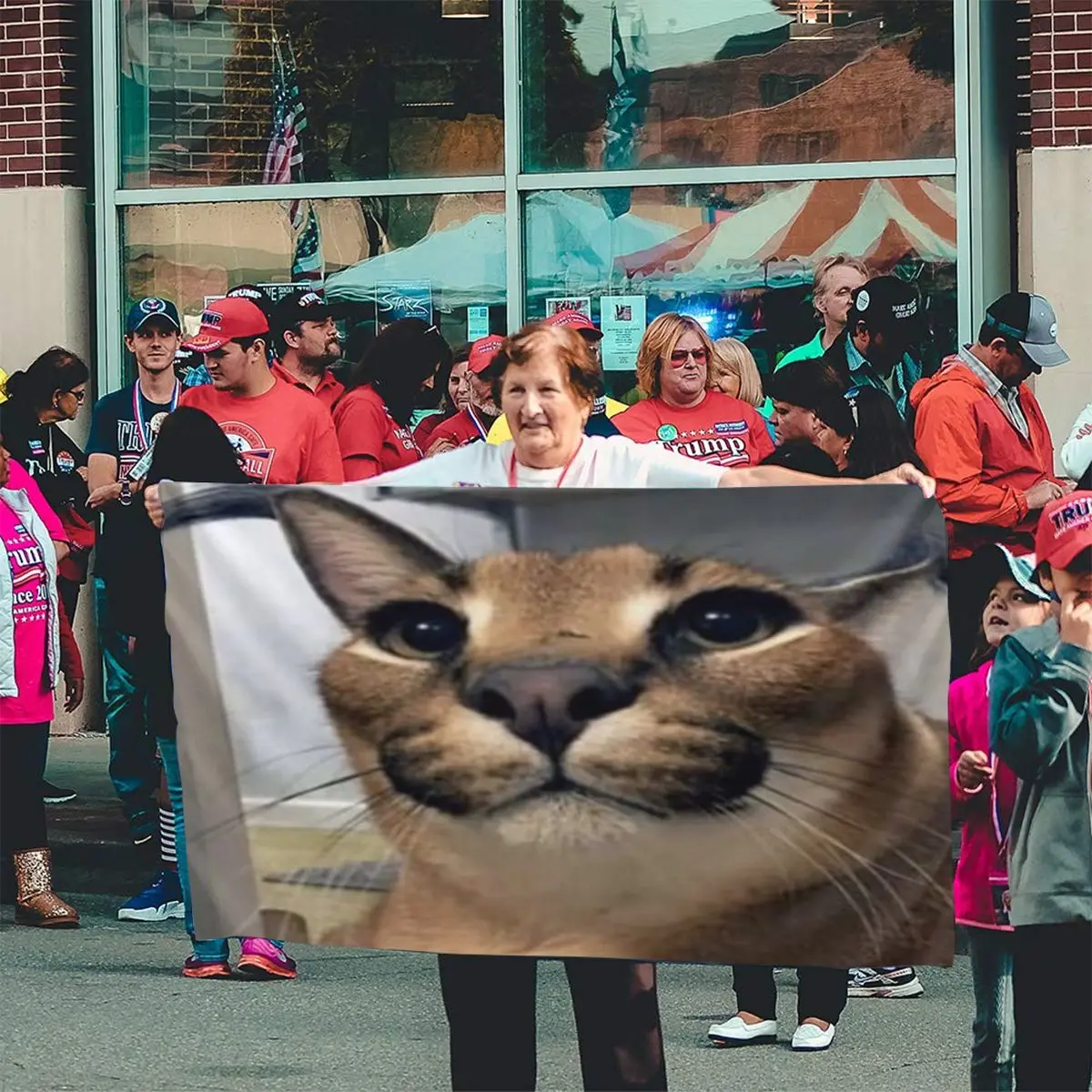 Флаг Floppa 562 баннер для дома уличный подарок вечерние НКА Америки Хэллоуин