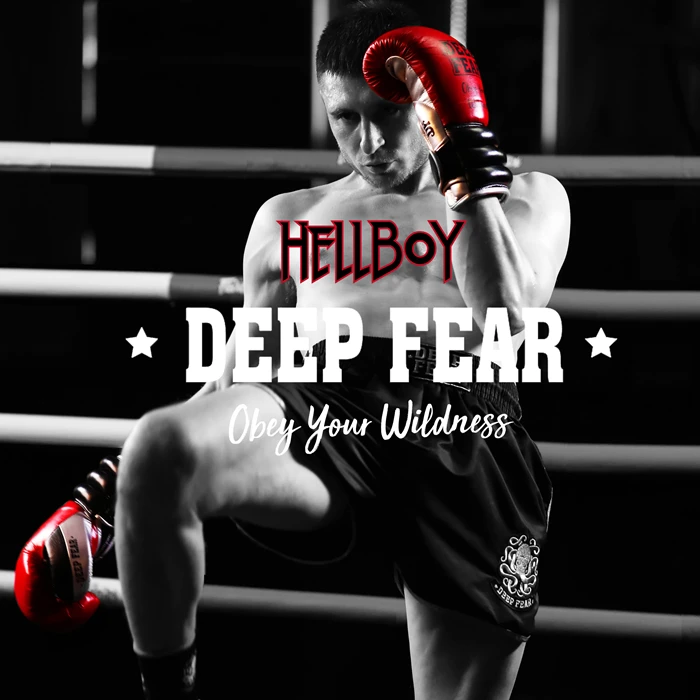 Training boxing gloves HELLBOY professional game fight sandbags DF Thai men and women |