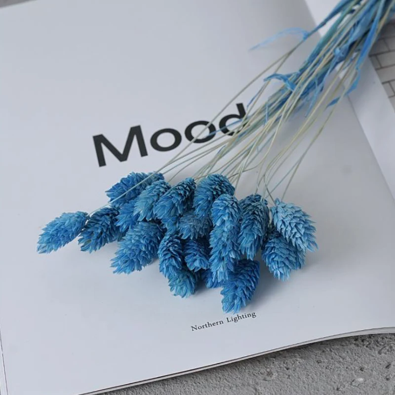 

Party Decoration Salon Flower Bouquet Gem Grass Birthday Jewelweed Pampas Rabbit Fleurs Artificielles