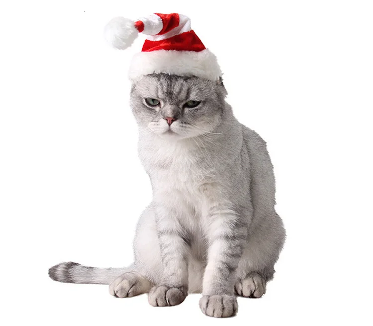 Pawstrip модная Рождественская шляпа для собаки, маленький животный Кролик Хомяк, морская свинка, шапки, зимний костюм для кошки
