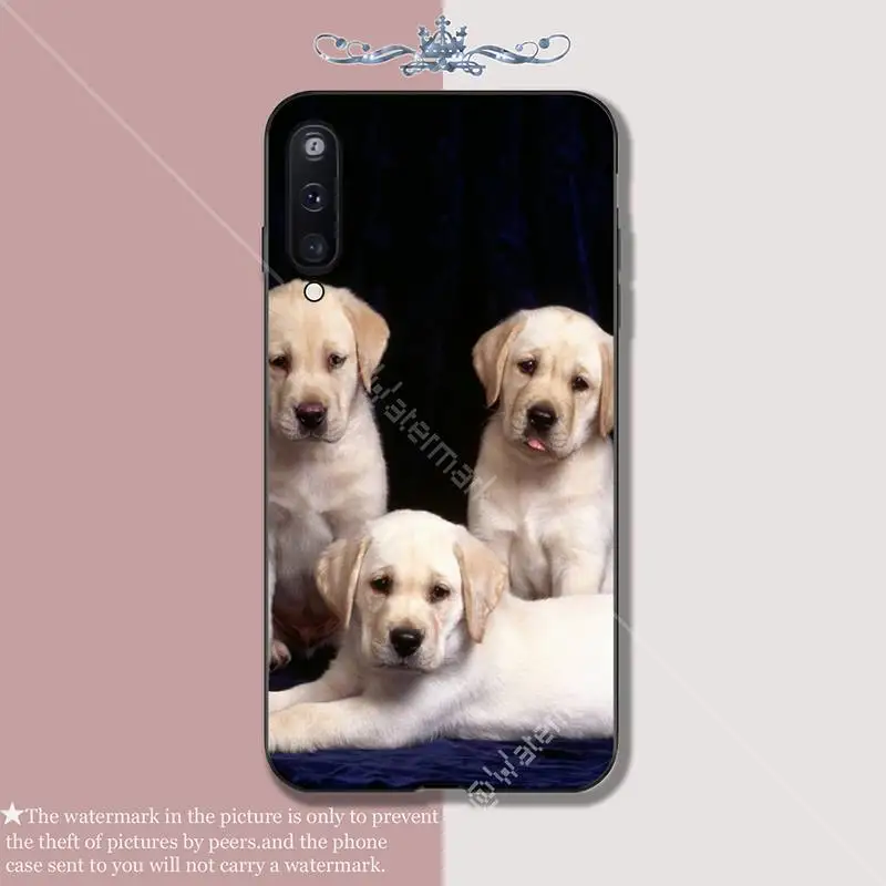 

Funny Black White Labrador Dog Luxury Phone Case Coque For Samsung Galaxy A10 A20 A50 A51 A70 A71 A40 A30 A30S A80 Cases Fundas