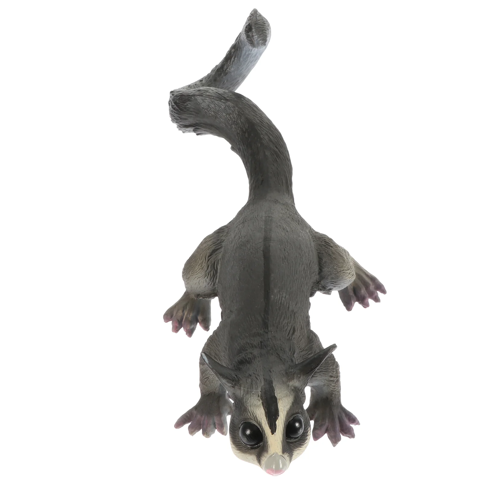 

Моделирование Petaurus Breviceps модель Land существо модель Животные форма Декор