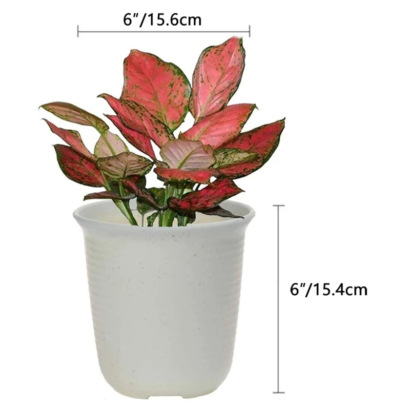 

6 Inch Plastic Planter Pots with Saucer, Seeding Nursery Planter Pot with Drainage Hole and Tray, Set of 8