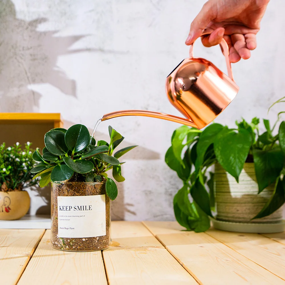 

1 Pcs Watering Can Stainless Steel Pot Long Spout Indoor Home Plant Pot Bottle Watering Device Bonsai Garden Tool Supplies