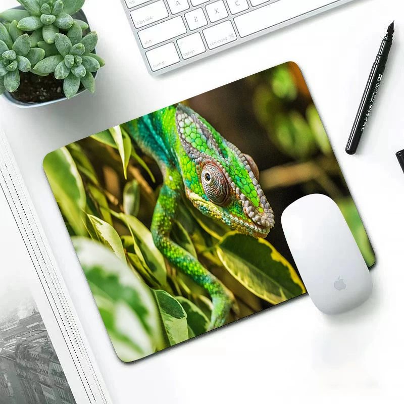 

Chameleon Small Gaming Mouse Pad Waterproof Work and office Mousepad Gamer Computer Desk Mat Pad Gamer Mouse Mat for PC