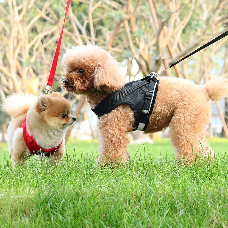 

Vest dog traction rope small dog pet chest strap Teddy Bomei go out to walk the dog rope dog chain supplies