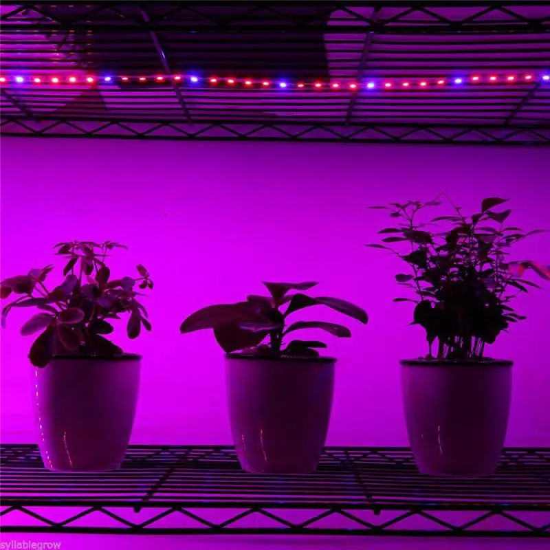 Светодиодная лента для выращивания растений с красным и синим светом 3