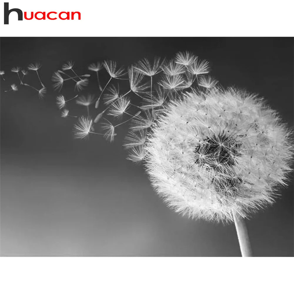

Набор для алмазной мозаики Huacan, картина 5D с изображением одуванчика, черного и белого пейзажа, украшение для дома