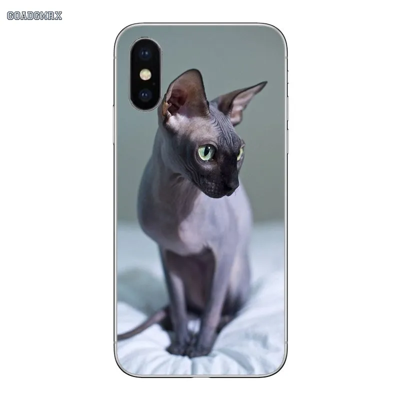 Sphynx Cat Luxury Cover For iPhone 11 X XR XS Pro MAX 4 4S 5 5S SE 5C 6 6S 7 8 Plus Transparent Soft Shell Covers | Мобильные