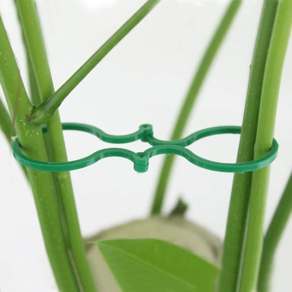 

200 Pcs Garden Plant Support Clips Vegetables Tomato Vine Flower Clips Plant Locks for Securing Plants