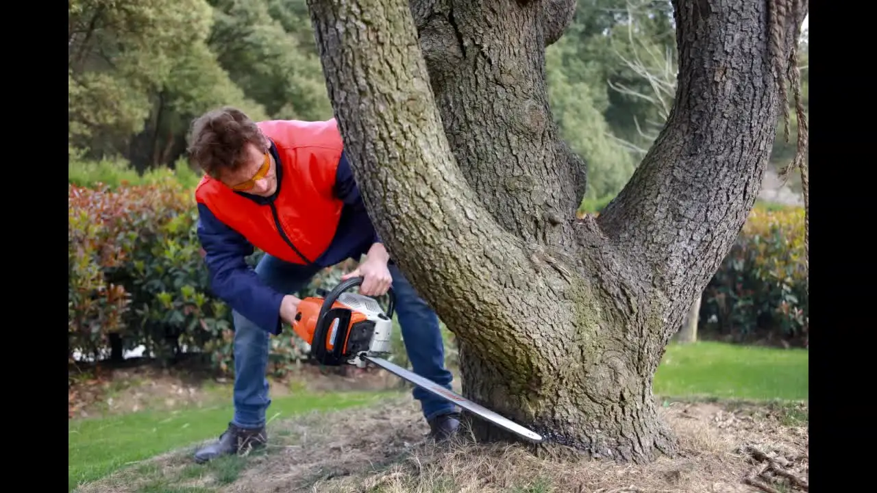 

Big professional wood cutting gasoline machine MS070 chainsaw