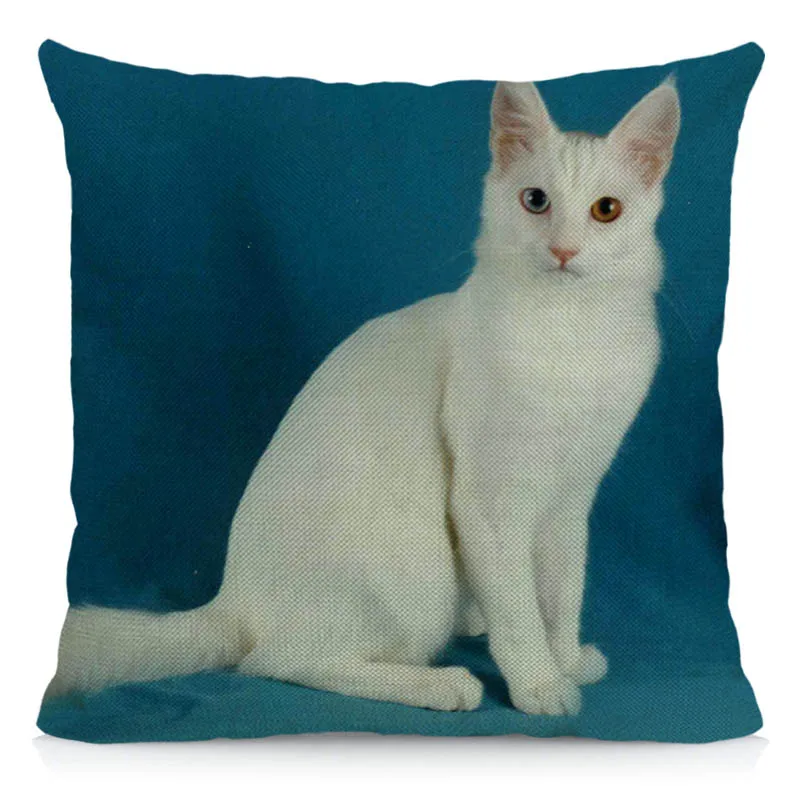 Turkish Angora Cat Pattern Cushion Cover 45x45cm Animal Print Throw Decorative Pillow Case DWM016 | Дом и сад
