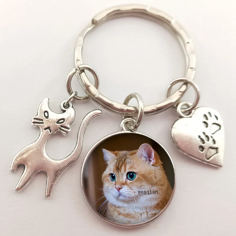 Брелок для ключей в виде животных автомобильный брелок со стеклянным куполом
