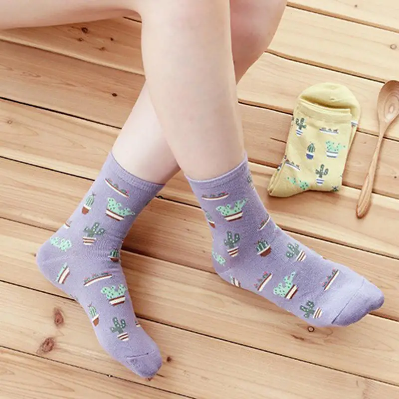 Ножка 22 25 см носки с кактусами модные повседневные растения мяч кактус Харадзюку