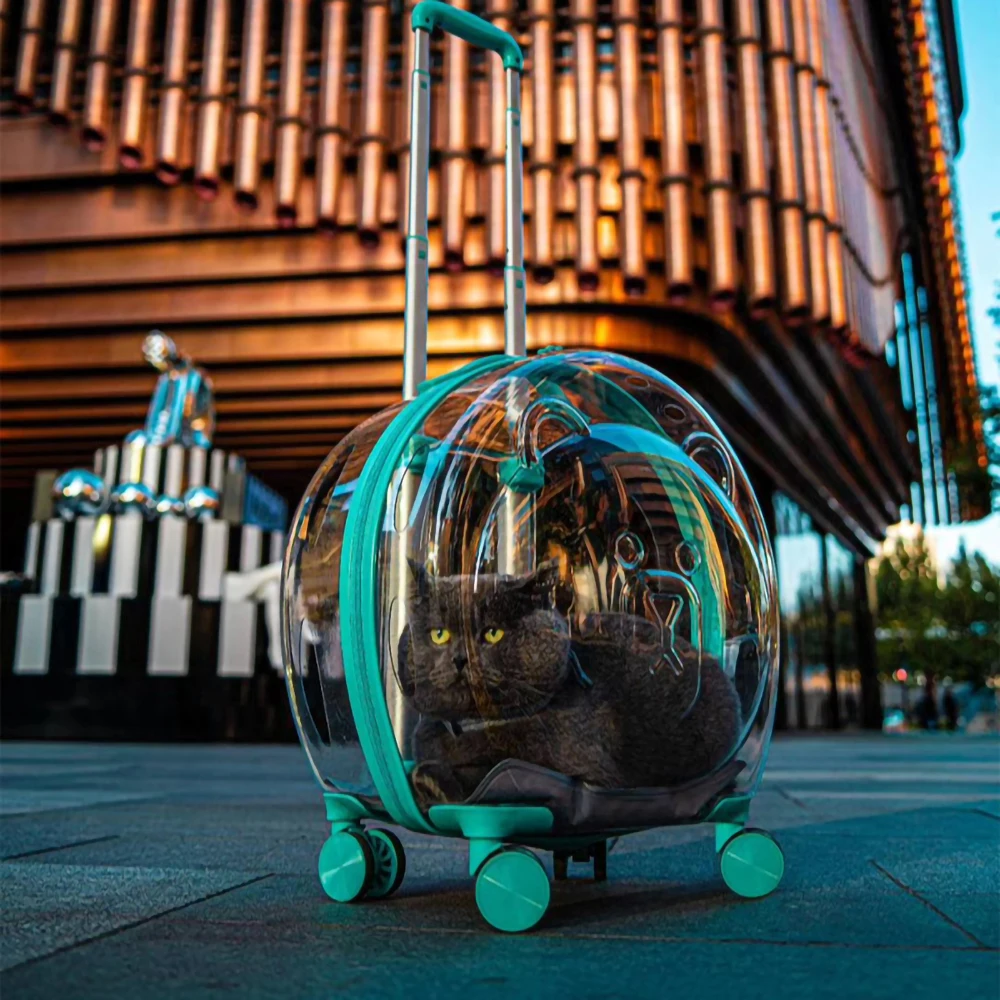 

Чехол на колесиках с медведем, ссылка на платеж