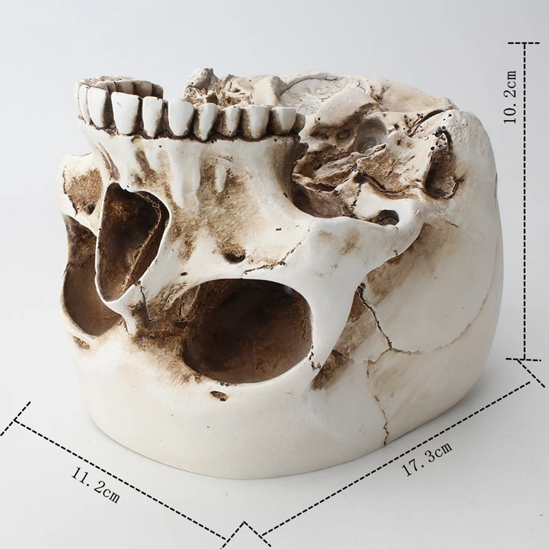 Skull Flower Pot Artware Resin Storage Box For Snack Ashtray Flowerpot Fruit Tray Tank Home Sculpture Statue Decoration | Дом и сад