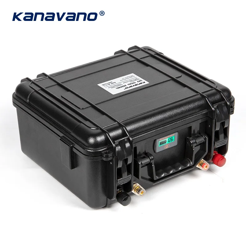 24V многократного цикла глубокого заряда разряда LiFePO4 29 2 V 100Ah Батарея пакет из