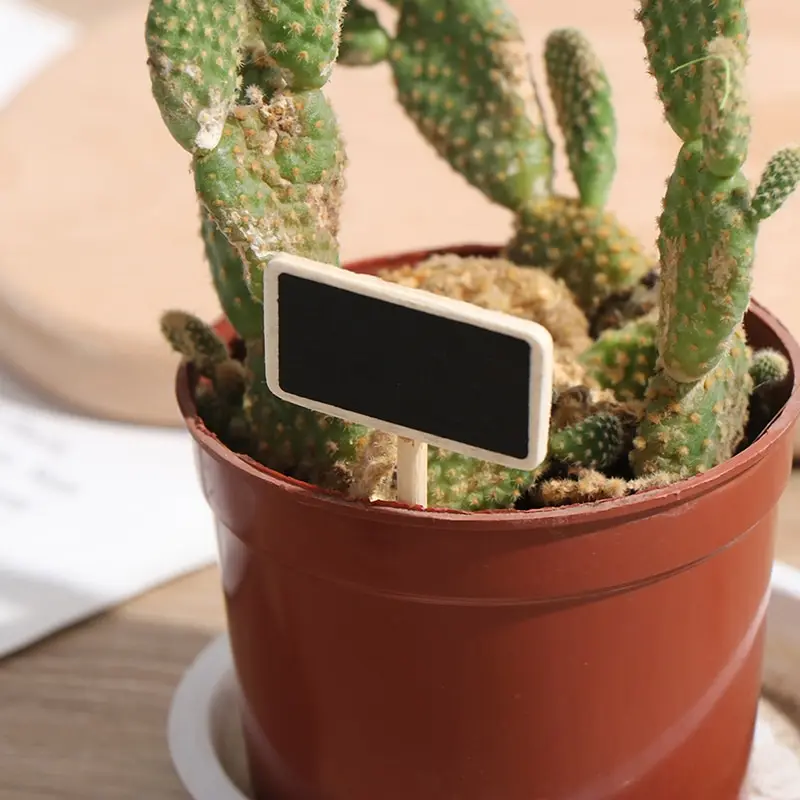 50 мини доска древесины сообщение шифер прямоугольный зажим клип Панель карты