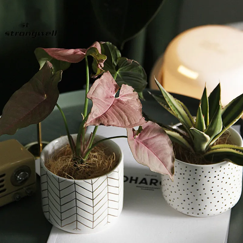 

Nordic Round Spots Ceramic Flower Pot Indoor Desktop White Porcelain Succulent Flowerpot Garden Modern Home Decor