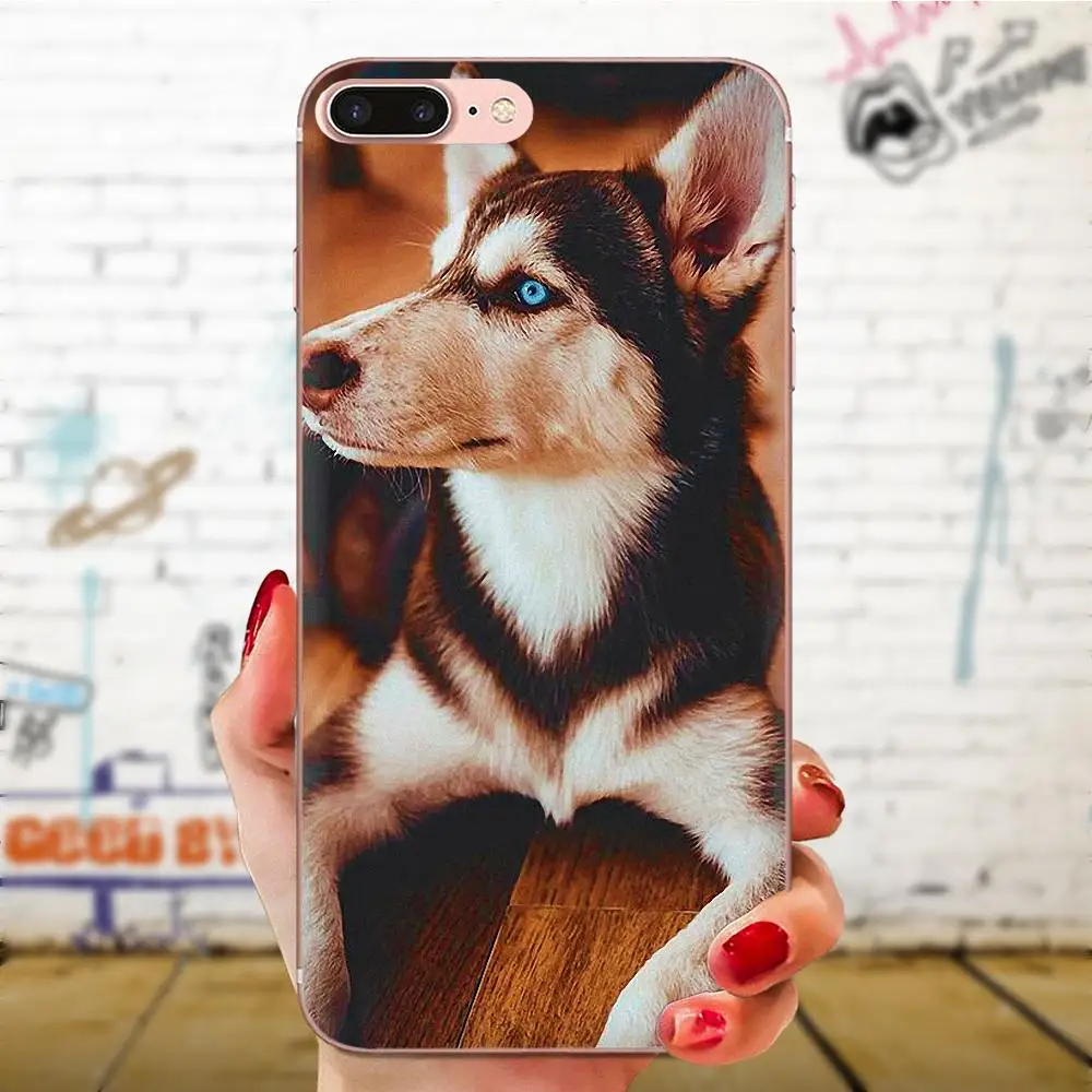 Мягкий чехол из ТПУ для Xiaomi Redmi Mi 4 7A 9T K20 CC9 CC9e Note 7 9 Y3 SE Pro Prime Go Play Puppy Alaskan