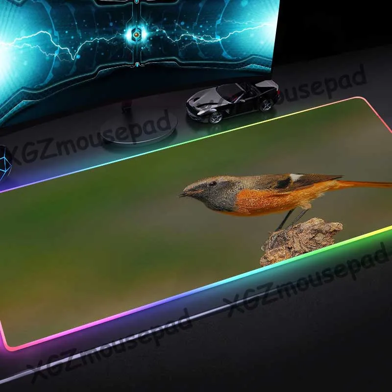 XGZ животное птица HD большая RGB игровая мышка с подсветкой Pad черный замок края