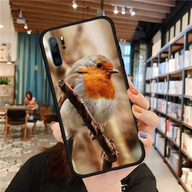 

Cute aniaml Robin Bird of god Phone Case For Huawei honor Mate P 9 10 20 30 40 Pro 10i 7 8 a x Lite nova 5t Soft silicone funda