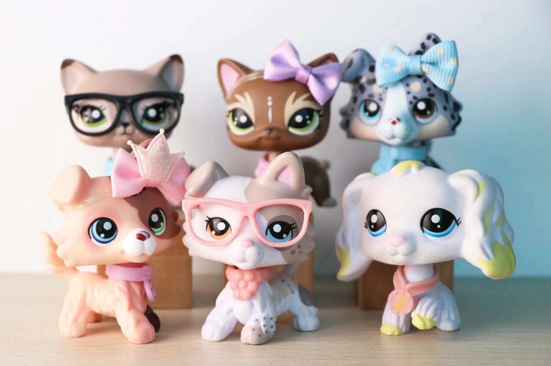 6 шт. игрушки на заказ щенок колли кошка с короткой шерстью банан спаниель собака