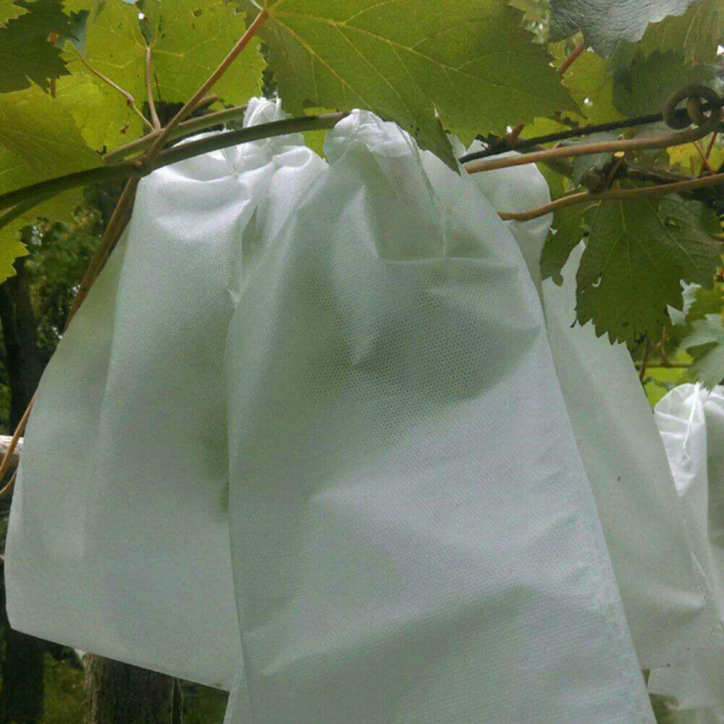 

Pack Protection Bags Set 100Pcs Fruit Vegetable Grape Non-Woven Fabric