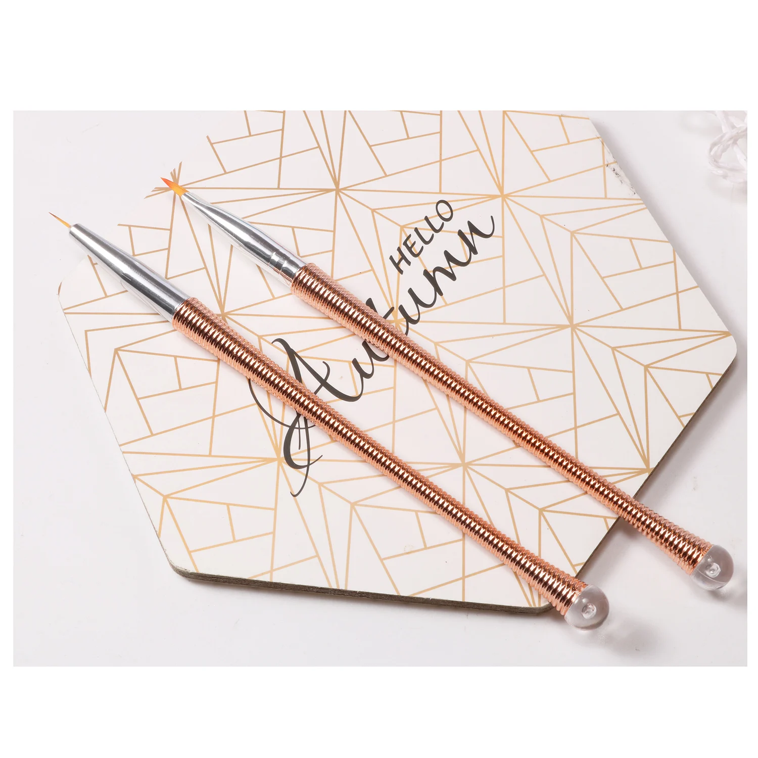 

10PCS Nail Art Brush Set Spiral Wire Handle Nail Polish Brush Pen Nail Art Design Painting Liner Pen