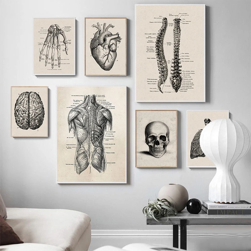 

Black White Retro Human Anatomy Wall Art Pictures Canvas Poster Print Nordic Painting Medicine Education Room Home Decor