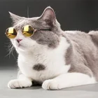 Милые и забавные очки для домашних животных, классические круглые металлические солнцезащитные очки в стиле ретро для кошек и маленьких собак, модные очки для кошек