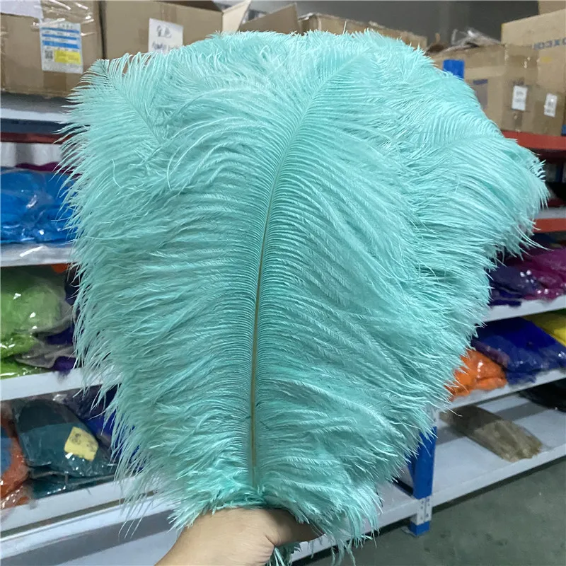 100 unids/lote de plumas de avestruz esponjosas para manualidades de 18-20 pulgadas/45-50cm, plumas de avestruz para carnaval, accesorios de celebraci&oacute;n-0