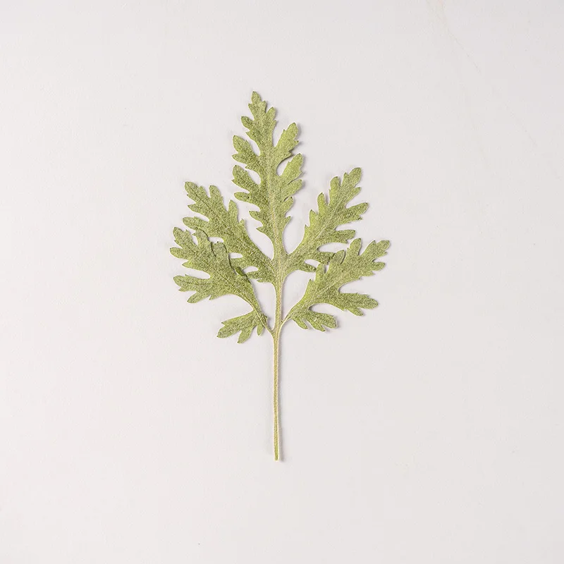 

12pcs/pack Pressed Dried Wormwood Necklace Jewelry Making Craft Embossing Phone Case DIY Accessories Bookmark Table Lamp Decor