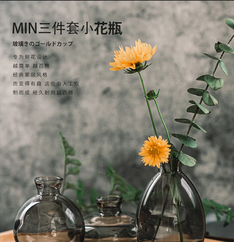 3Pcs Classic Creative Vase Top Quality Grass Black Transparent Home Deco Reagent Bottle Flower Vase Factory Wholesale images - 6