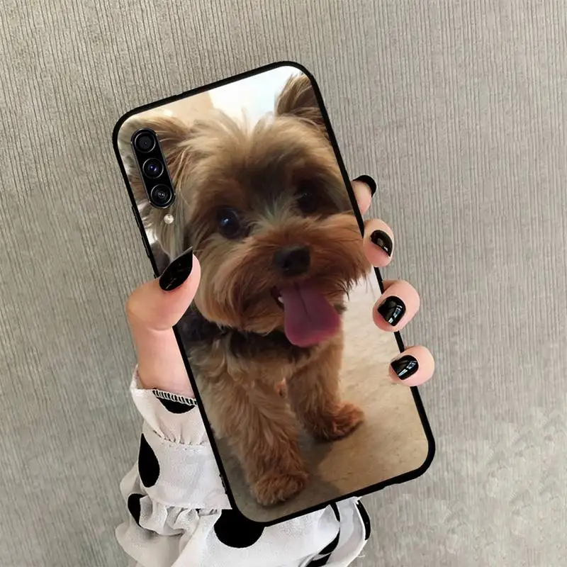 

Yorkshire Terrier dog Phone Case black For Samsung galaxy S 21 20 10 8 A 51 71 50 21s 70 40 20 20e note 10 plus Ultra 5g fe